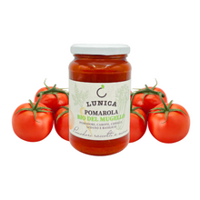Carica l'immagine nel visualizzatore di Gallery, Salsa Pomarola Bio Mugello (335g)